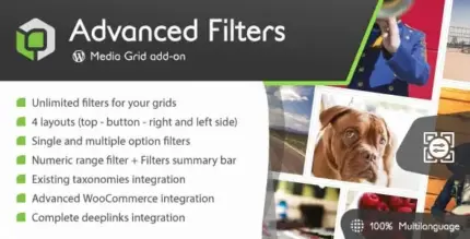 Media Grid Advanced Filters