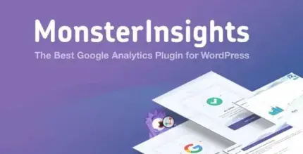 MonsterInsights Pro Plugin